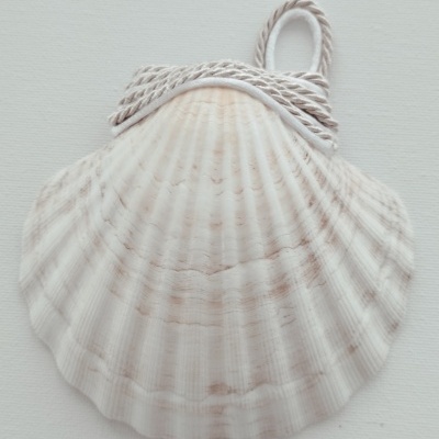 Concha Batismo Pérola