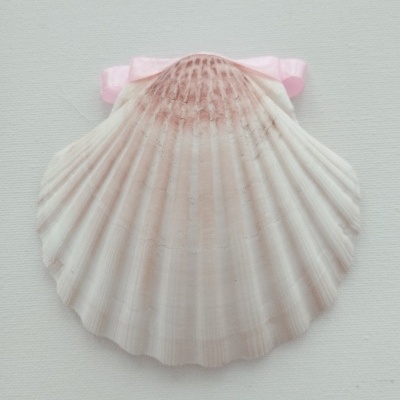 Concha Batismo Rosa bebê