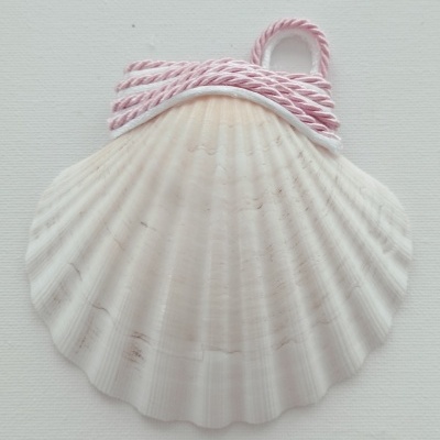 Concha Batismo Rosa bebê