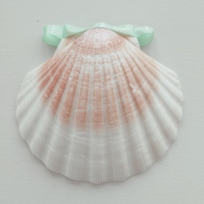 Concha Batismo Verde Água