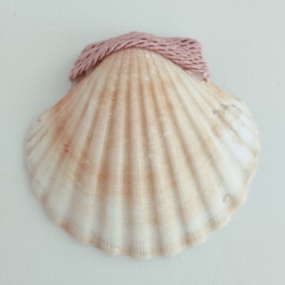 Concha Batismo Rosa Velho