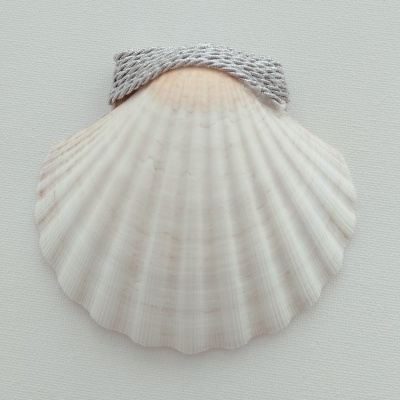 Concha Batismo Cinza