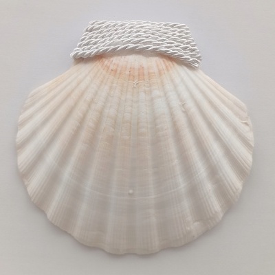 Concha Batismo Branca