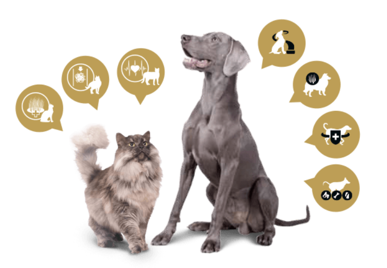 Suplementos na Ração