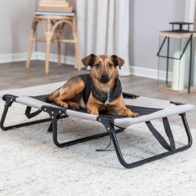 Cama Elevada para Cão