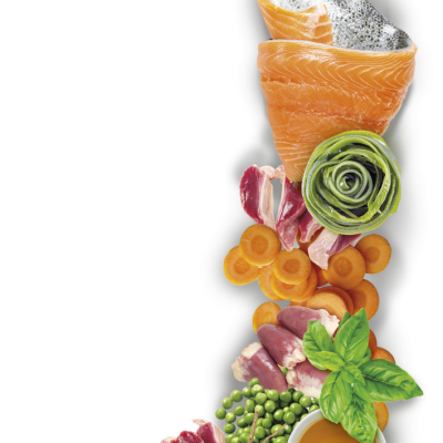 1º Ingrediente: Fonte de Proteína Animal