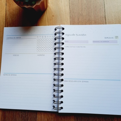 Planner&#x20;da&#x20;Gr&#x00E1;vida