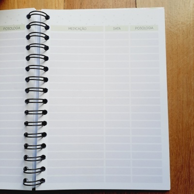 Planner&#x20;da&#x20;Gr&#x00E1;vida