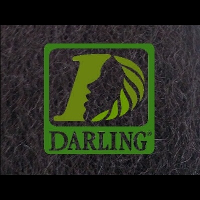 Darling Xpression - 1B