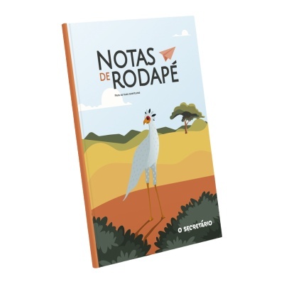 Bloco&#x20;-&#x20;Notas&#x20;de&#x20;Rodap&#x00E9;