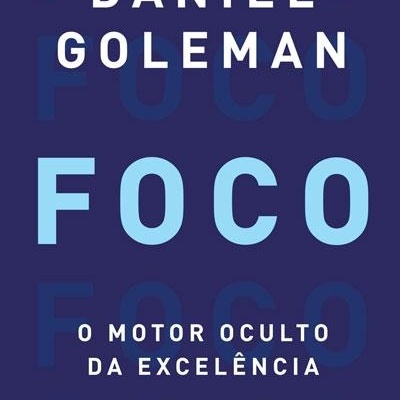 https://www.papier.pt/product/foco-o-motor-oculto-da-excelencia-daniel-goleman