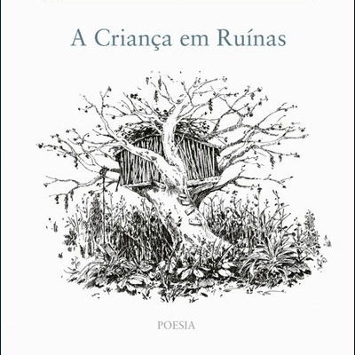 https://www.papier.pt/product/a-crianca-em-ruinas-jose-luis-peixoto