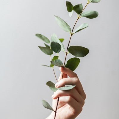 Droplet Plant Kit 🌱 Droplet Plant Kit 🌱