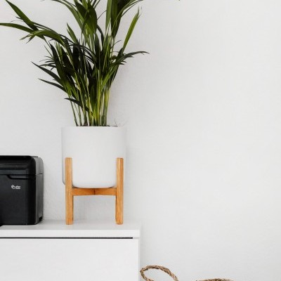 Droplet Plant Kit 🌱 Droplet Plant Kit 🌱