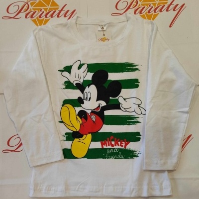 Camisola Menino manga cumprida sem carda