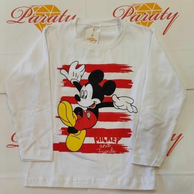 Camisola Menino manga cumprida sem carda