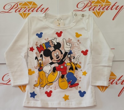 Camisola manga comprida sem carda 12 meses aos 36 meses