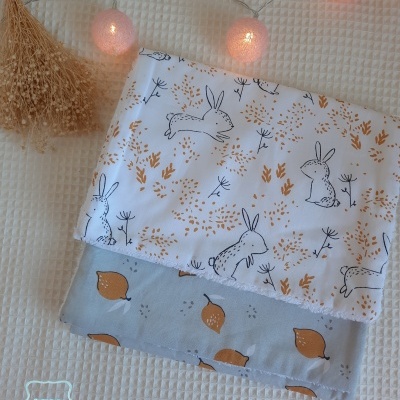 Coelhos e limões amarelo e cinzento