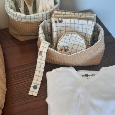 Cestos organizadores Carros