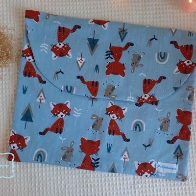 Raposinhas fundo azul claro