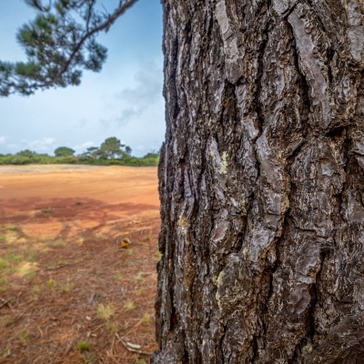 Barreiro da Faneca Horizontal