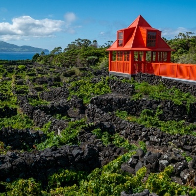 Museu do Vinho da Ilha do Pico