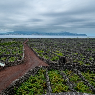 Curraletas da Criação Velha
