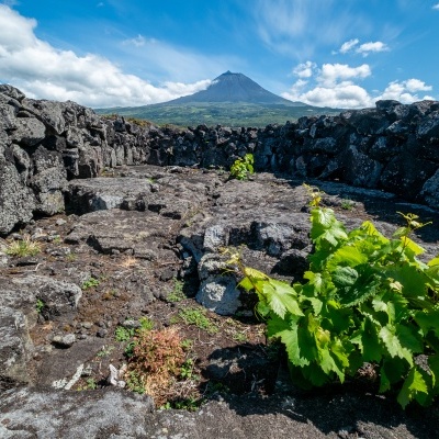 Curraletas horizontal