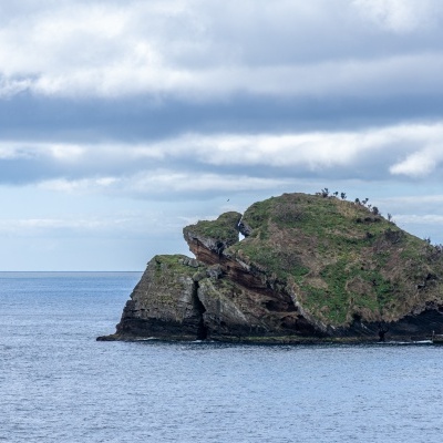 Pormenor Anel da Princesa