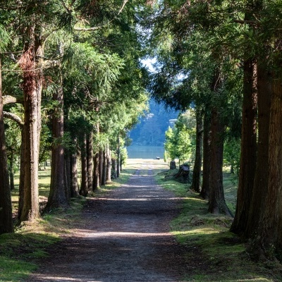 Pormenor da Lagoa das Furnas