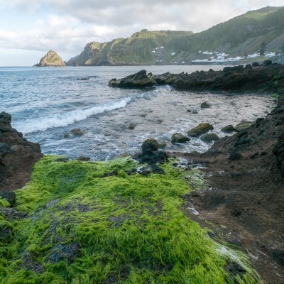 Baía de São Lourenço