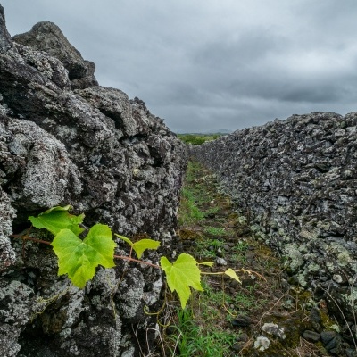 Pormenor do caminho entre as Curraletas