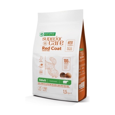 Red Coat Lamb Mini Adult