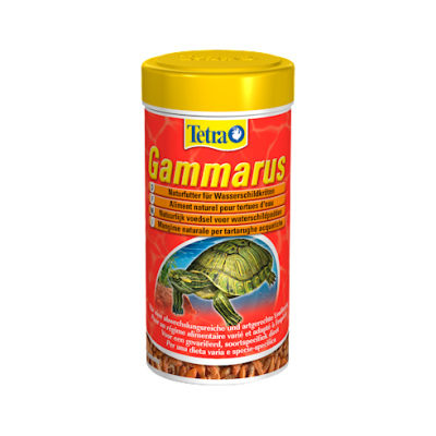Tetra Gammaarus