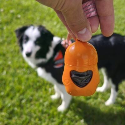 Dispensador de sacos higiénicos para dejetos