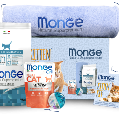 Monge Kitten Kit