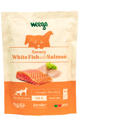 Weego Wet Dog Food Savory 260g