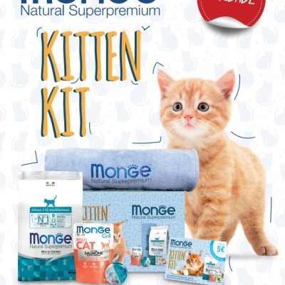 Monge Kitten Kit