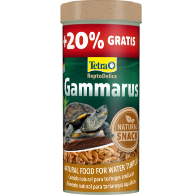 Tetra Gammaarus