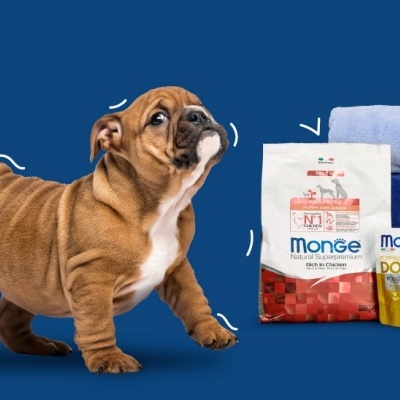 Monge Puppy Kit