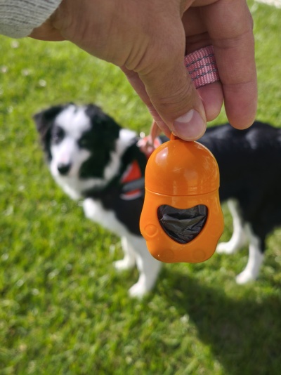 Dispensador de sacos higiénicos para dejetos