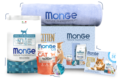 Monge Kitten Kit