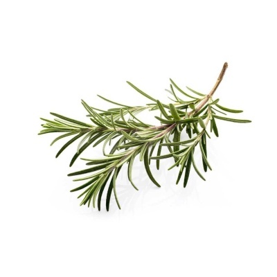 Óleo Essencial de Alecrim Cineol | 10 ml