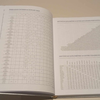 Agenda Diária 14X21 Luna Prata