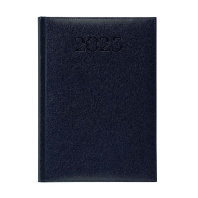 Agenda Comercial Diária 2025