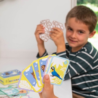 Jogo de cartas Famílias