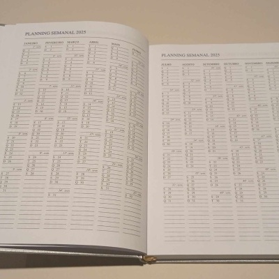 Agenda Diária 14X21 Luna Prata