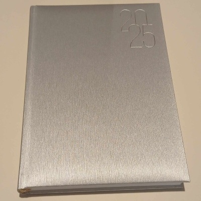 Agenda Diária 14X21 Luna Prata