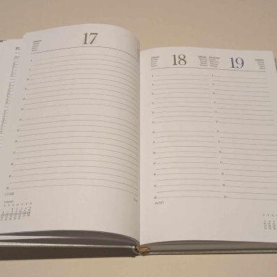 Agenda Diária 14X21 Luna Prata