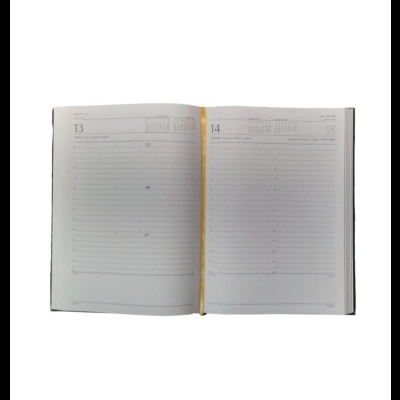 Agenda Comercial Diária 2025